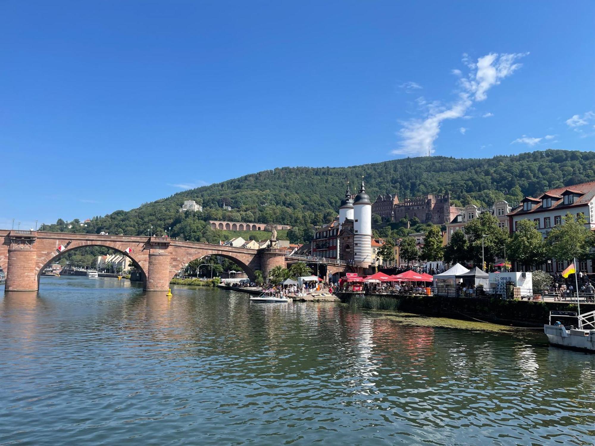 Appartamento Boardinghouse Goethehaus Heidelberg Esterno foto