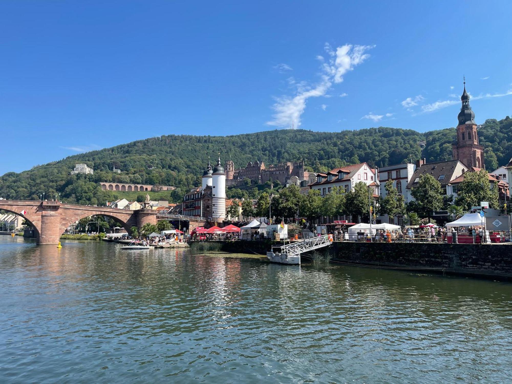 Appartamento Boardinghouse Goethehaus Heidelberg Esterno foto